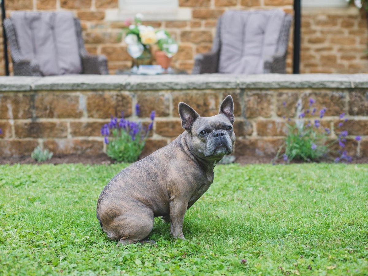 Climbing Rose Cottage - Dog Friendly - Peaceful Cotswold Cottage Adlestrop Exterior foto